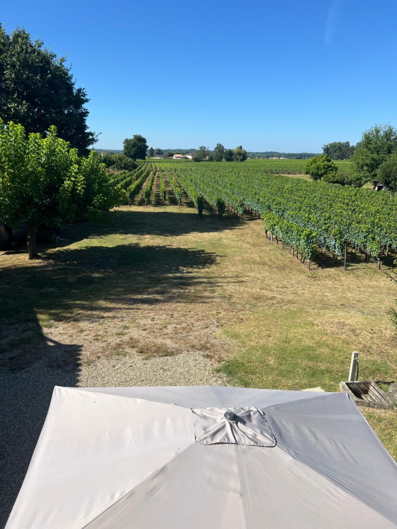 Gite Le Clos Saint-Sulpice-de-Faleyrens Eksteriør bilde